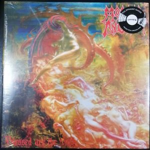 MORBID ANGEL – Blessed are the Sick