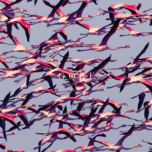 DEFTONE (usa) _  Gore (digipack)